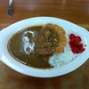 月に数回カレーを食べないと死んでしまう病に冒されてます。