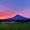 富士山ドーン！泊まれるトマト農園 富士高原農場トマトフィールド《静岡》
