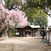 三島八幡神社【更新しました】