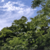 地球さん元氣に　♫♫♫