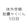 【不妊治療】胎嚢確認から5日後の出来事