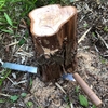 木の伐採にはご注意　危険作業時の格言「迷った時は一息入れて考える」