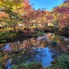 【京都】【御朱印】『圓光寺』に行ってきました。 京都紅葉 そうだ京都行こう 女子旅