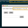 WebSocket Echo Client in WebView