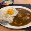 これぞ大盛り！小田急相模原大衆酒場譲の『豚しゃぶと目玉焼きのカレー』がボリューム満点で税込700円って感謝しかねぇ！！