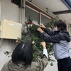 聖劇リハーサルとクリスマス飾り