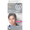 サロン・ド・プロ/ダークグレー