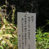 万葉集の世界に飛び込もう（その３１９９）―万葉一日一葉　国分寺万葉庭園（６７）―たで