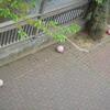 the end　- 完 -