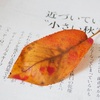 早すぎる紅葉の原因