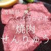 茨城県つくばみらい市　焼肉せんりゅう　幅広い価値観を受け入れられるお店かなと