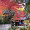 大石内蔵助ゆかりの「来迎院」の紅葉🍁✨