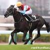 京王杯 2歳ステークス - トピックス