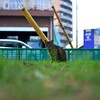 夕暮れの公園で、ネコ目線で写真を撮る