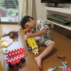 うたちゃん日記♪2020/6/12♪日ごと、ニューブロックで遊ぶ