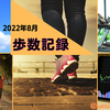 【2022年8月分】目標毎日20,000歩のウォーキング【ウォーキングダイエット】