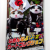 なめんなよ　なめ猫　カードが100円ショップのSeria（セリア）で買える