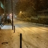  雪の東京２