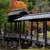 京都紅葉　その②(高台寺・二年坂)