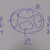 【元メガネ屋の主張】遠近両用メガネを始める時に知っておくべきポイント解説‼️
