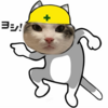 改めて猫紹介