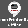 Why Is My Canon Printer Goes Offline?