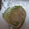多肉どころじゃない🥬　富貴蘭　＆　たまなし　(=^・^=)