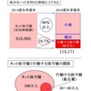 日本第一党の潜在的可能性(都知事選・市議選・対馬市長選を振り返って)