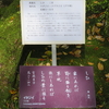 万葉歌碑を訪ねて（その１１５７）―奈良市春日野町　春日大社神苑萬葉植物園（１１７）―万葉集　巻二　一四二