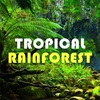 HiLIQ Tropical Rainforest リキッドレビュー
