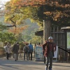 ～紅葉が見頃の三溪園に行ってみた～