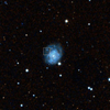 SN 2024ws in NGC2550A きりん座 板垣さん発見！