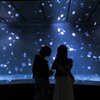 拓殖大学商学部住木ゼミ等 2024年度2年生の主な活動