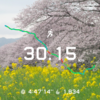 1st TRY 30Km WALK