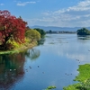 江津湖（熊本県熊本）