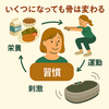 いくつになっても骨は強くなる！骨密度を諦めないための習慣