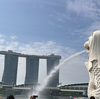 【シンガポール旅行】　使ったお金総額💰　〇〇万円✨