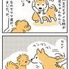 【犬漫画】幼なじみの柴犬お兄わんちに行きました。