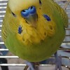 ７月６日の相場を見てみたよ　チュン