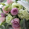 DAILY FLOWERS!!
