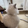 ふくちゃん黄金週間が終わって日常に復帰