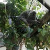 埼玉県こども動物自然公園