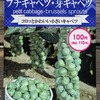 【栽培断念】「芽キャベツ」の水耕栽培を春から行っています。春蒔きと夏蒔き、どちらが育てやすいのでしょうか？