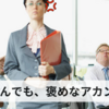 「いきなり褒められても……」困るんですけど・・・のおはなしです。