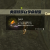ブレワイ＊その34