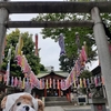 #くまくま神社#熊野町熊野神社