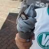 駅前で味わう濃厚絶品ソフトクリーム。伊豆急下田「ペリーさんの黒船家」