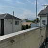 2024/08/11(Sun)