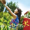 竹内結子の最高傑作 サイドカーに犬 (2007年製作の映画)
