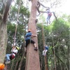 甲山森林公園｜2024年7月7日（日）に「ロープで木登り！ツリーイング体験」が開催されます